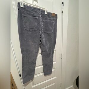 NWT American Eagle Corduroy Size16 Short Dark Gray